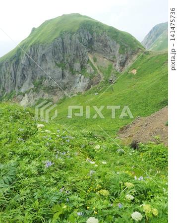 桃岩展望台 桃岩展望台 141475736