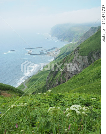 桃岩展望台 桃岩展望台 141475737