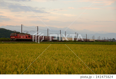夕暮れの北陸本線を走る貨物列車 141475824
