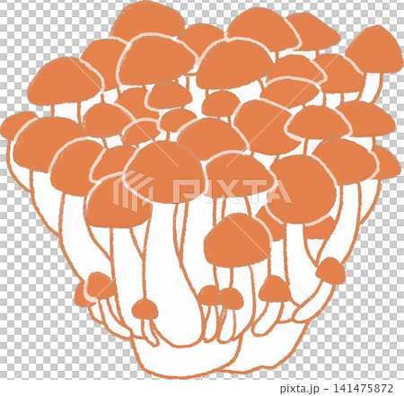 かわいいしめじの手書き風単色シンプルイラスト(きのこ・野菜・和風・スタンプ風) かわいいしめじの手書き風単色シンプルイラスト(きのこ・野菜・和風・スタンプ風) 141475872