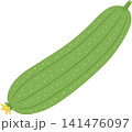 緑のヘチマの実のベクターイラスト 緑のヘチマの実のベクターイラスト 141476097