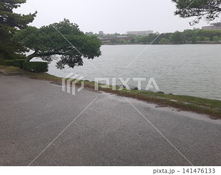 公園の木と川 公園の木と川 141476133
