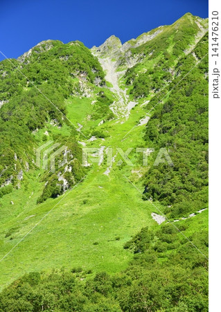 西穂高沢/西穂高岳周辺を望む【2026.7】 西穂高沢/西穂高岳周辺を望む【2026.7】 141476210