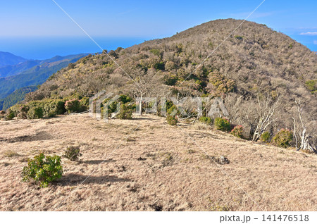 伊豆半島 伊豆山稜線歩道 鞍部の草地より望むミソウ台 伊豆半島 伊豆山稜線歩道 鞍部の草地より望むミソウ台 141476518