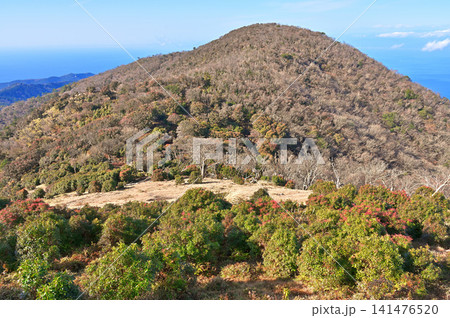 伊豆半島 伊豆山稜線歩道 初冬のミソウ台 伊豆半島 伊豆山稜線歩道 初冬のミソウ台 141476520