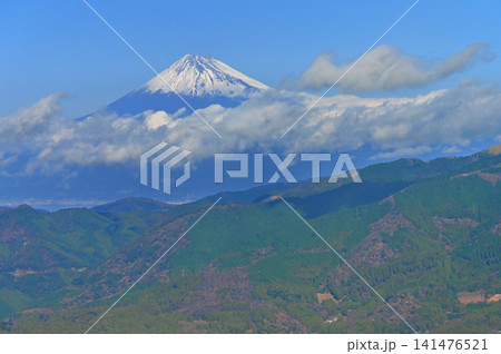 伊豆半島　伊豆山稜線歩道　ミソウ台より望む初冬の富士山 141476521