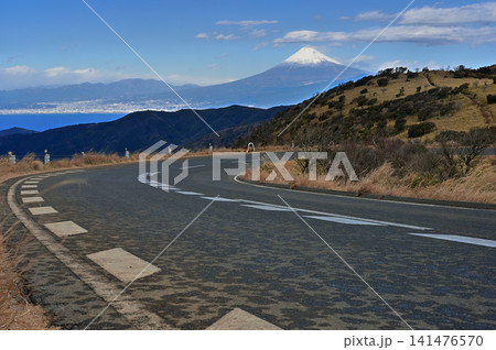 伊豆半島の達磨山 富士山を眺める西伊豆スカイライン 伊豆半島の達磨山 富士山を眺める西伊豆スカイライン 141476570