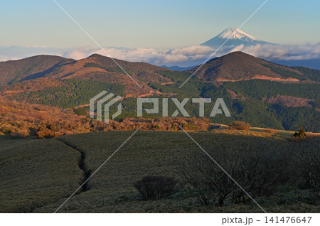 伊豆半島の仁科峠展望台　朝日さす伊豆山稜線歩道と富士山 141476647