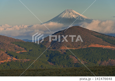 伊豆半島の伊豆山稜線歩道 仁科峠展望台から望む朝の富士山と魂ノ山 伊豆半島の伊豆山稜線歩道 仁科峠展望台から望む朝の富士山と魂ノ山 141476648