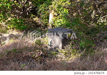 伊豆半島 ミソウ台山頂 三等三角点(大洞) 伊豆半島 ミソウ台山頂 三等三角点(大洞) 141476674