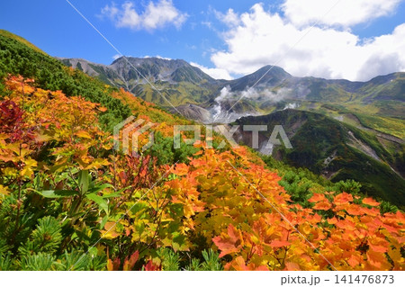 紅葉の雷鳥沢と立山連峰 紅葉の雷鳥沢と立山連峰 141476873