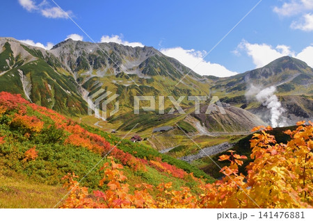 紅葉の雷鳥沢と立山連峰 紅葉の雷鳥沢と立山連峰 141476881