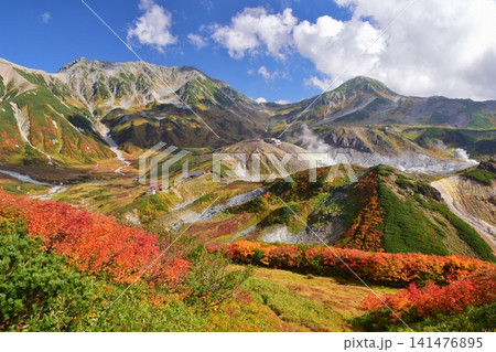 紅葉の雷鳥沢と立山連峰 紅葉の雷鳥沢と立山連峰 141476895