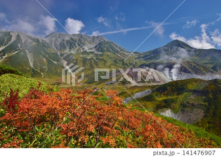 紅葉の雷鳥沢と立山連峰 紅葉の雷鳥沢と立山連峰 141476907