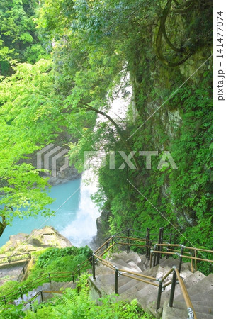 手取峡谷の綿ヶ滝 手取峡谷の綿ヶ滝 141477074