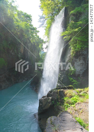 手取峡谷の綿ヶ滝 手取峡谷の綿ヶ滝 141477077