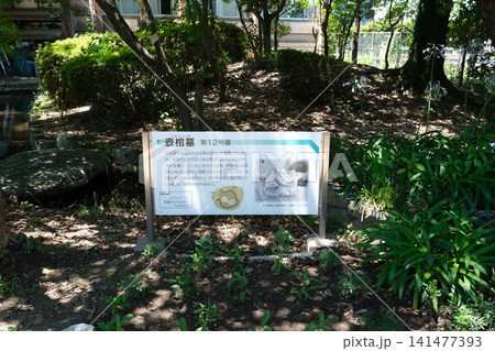 田能遺跡の壺棺墓第12号墓の解説看板 田能遺跡の壺棺墓第12号墓の解説看板 141477393