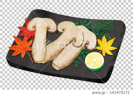 Watercolor illustration of grilled matsutake mushrooms and sudachi citrus. Watercolor illustration of grilled matsutake mushrooms and sudachi citrus. 141478172