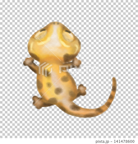 Cartoon gecko with a rounded body climbing up crayon illustration 141478600