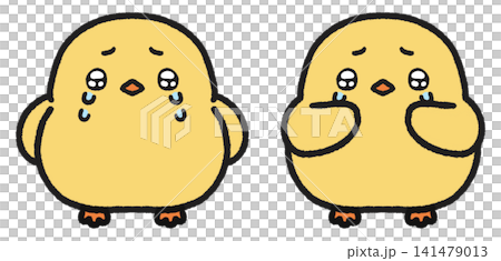 うるうるとした目で泣いているヒヨコのイラストセット 141479013