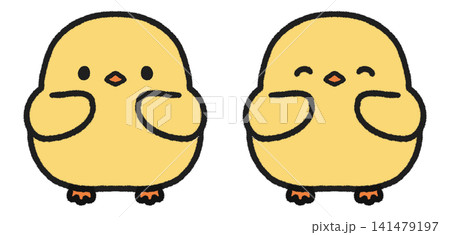 かわいいヒヨコのイラストセット かわいいヒヨコのイラストセット 141479197