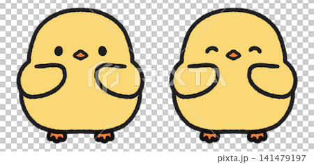 かわいいヒヨコのイラストセット かわいいヒヨコのイラストセット 141479197