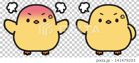 怒っているヒヨコのイラストセット 怒っているヒヨコのイラストセット 141479203