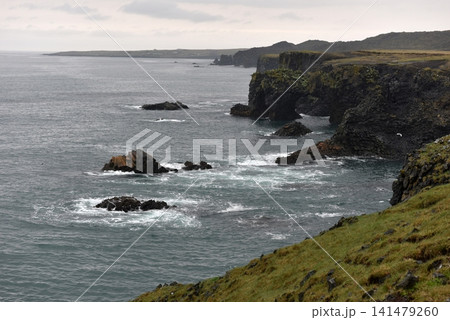 Volcanic sea stacks rising from the ocean near Arnarstapi cliffs, Iceland 141479260