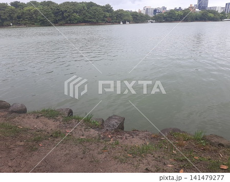 池 公園内の池 川 池 公園内の池 川 141479277