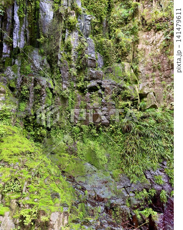 宮崎県高千穂町の高千穂峡で見られる真名井の滝と見事な柱状節理の渓谷風景 宮崎県高千穂町の高千穂峡で見られる真名井の滝と見事な柱状節理の渓谷風景 141479611