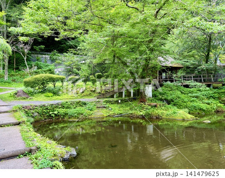 宮崎県高千穂町の高千穂峡で見られる真名井の滝と見事な柱状節理の渓谷風景 宮崎県高千穂町の高千穂峡で見られる真名井の滝と見事な柱状節理の渓谷風景 141479625