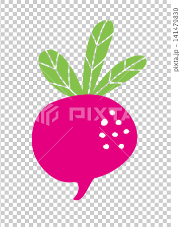 Illustration of a simple radish Illustration of a simple radish 141479830