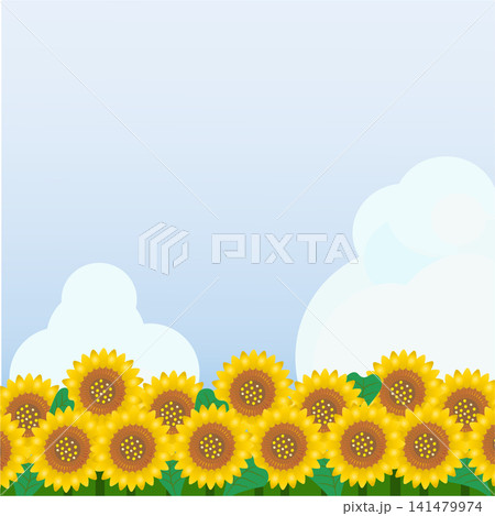夏空にひまわりが浮かぶ夏の背景イラスト 141479974