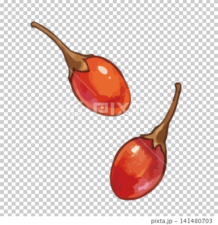 A mouthwatering illustration of goji berries. A mouthwatering illustration of goji berries. 141480703