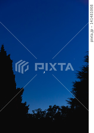 スイス・ルガーノのブルーアワーの夜空に浮かぶ三日月と星、木立のシルエット 141481008