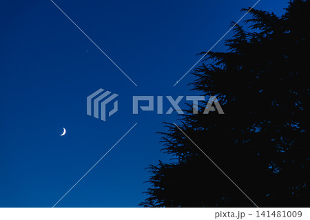 スイス・ルガーノのブルーアワーの夜空に輝く三日月と星、針葉樹のシルエット スイス・ルガーノのブルーアワーの夜空に輝く三日月と星、針葉樹のシルエット 141481009