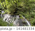 新緑に包まれた滝 141481334