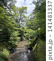 新緑に包まれる川 141481337