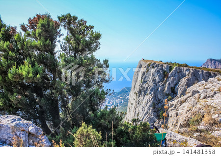 Mediterranean landscape. Forested rocks of the Black Sea coast of the southern coast of the Crimean Peninsula on a clear sunny day. View down from the rocky mountains to the sea 141481358