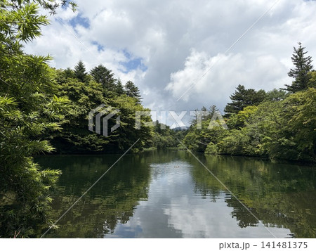 池のある風景 池のある風景 141481375