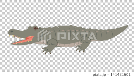 Crocodile (animal) Crocodile (animal) 141481601