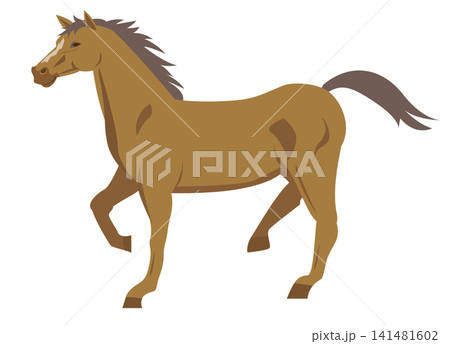 動物の馬 動物の馬 141481602