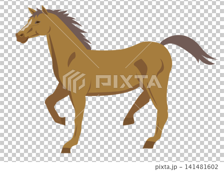 horse (animal) horse (animal) 141481602