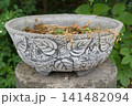 Concrete garden planter with embossed leaf pattern in the garden 141482094