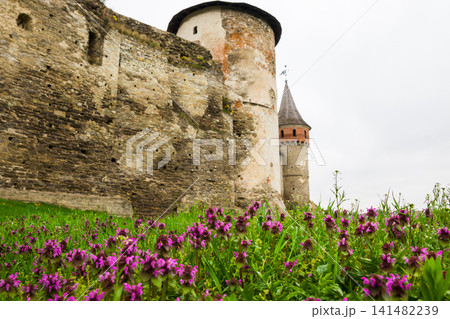 Purple flowers growing near the historic stone wall of the old castle. Flowers and green grass on a stone wall background. Purple flowers growing near the historic stone wall of the old castle. Flowers and green grass on a stone wall background. 141482239
