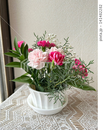 ピンク色のカーネーションの寄せ植え ピンク色のカーネーションの寄せ植え 141482282