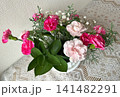 ピンク色のカーネーションの寄せ植え 141482291