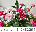 ピンク色のカーネーションの寄せ植え 141482295