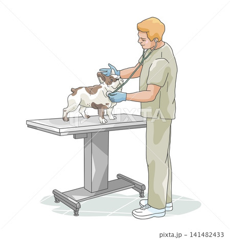 Veterinarian listening to French Bulldog with stethoscope 141482433