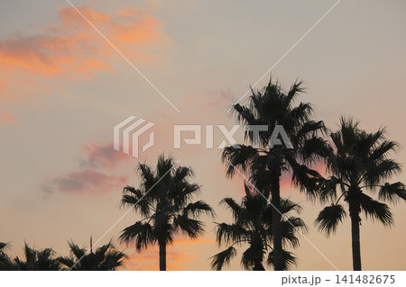 湘南の夕暮れ 自然風景 湘南の夕暮れ 自然風景 141482675